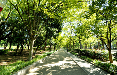 靭公園